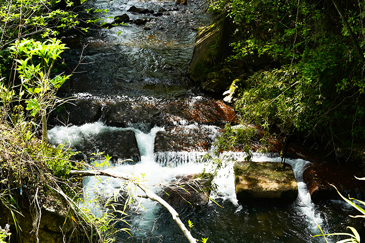 キャンプ場の写真