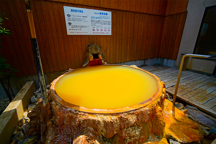 キャンプ場の写真