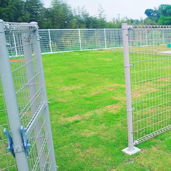 ドックラン写真